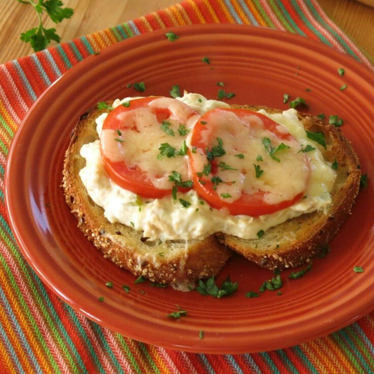 Image for Creamy Open-Faced Tuna Melt Sandwich